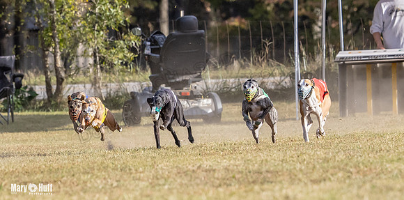 Program 4 Race 10 Remus Bender SweetNlow Grim Wanda-9477