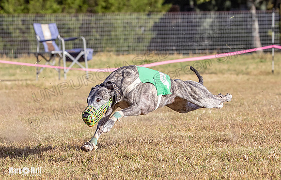 Program 4 Race 10 Remus Bender SweetNlow Grim Wanda-9517