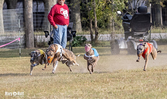 Program 4 Race 11 Brock Tara Dewey Romulus Kinely Cerce-9544