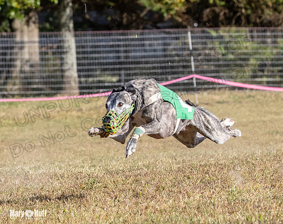 Program 4 Race 10 Remus Bender SweetNlow Grim Wanda-9514