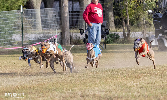 Program 4 Race 11 Brock Tara Dewey Romulus Kinely Cerce-9547