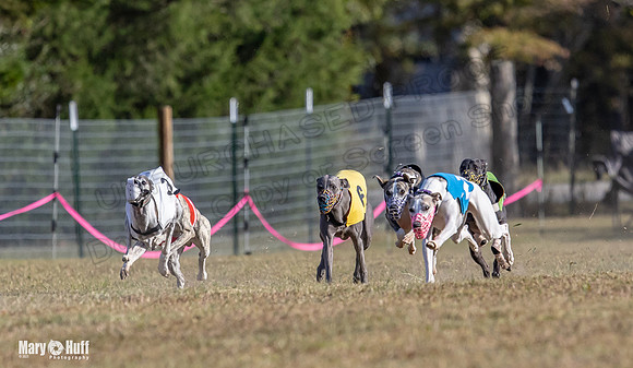 Program 4 Race 5 Soarin Tissy RileyW Rid Trillian Strummer-9242