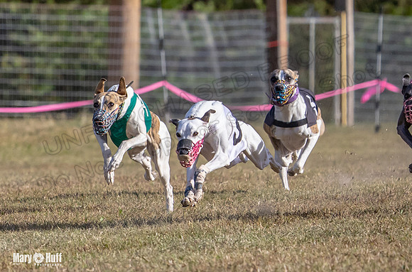 Program 4 Race 6 Pedro Sneakers Mimic Pearl Dancie Sadie-9306