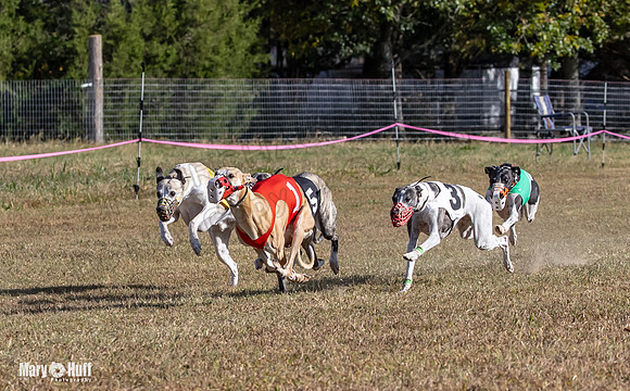 Program 4 Race 2 Raz Elsa Ella Chuck Bexley Bumble-9140
