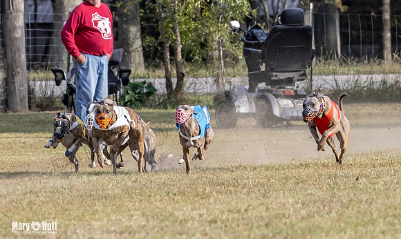 Program 4 Race 11 Brock Tara Dewey Romulus Kinely Cerce-9543