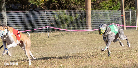 Program 4 Race 10 Remus Bender SweetNlow Grim Wanda-9511