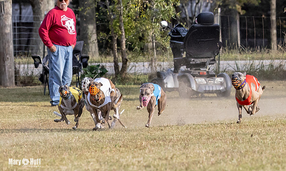 Program 4 Race 11 Brock Tara Dewey Romulus Kinely Cerce-9542