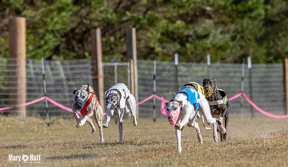 Program 4 Race 5 Soarin Tissy RileyW Rid Trillian Strummer-9253