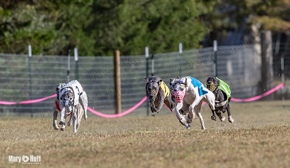 Program 4 Race 5 Soarin Tissy RileyW Rid Trillian Strummer-9245