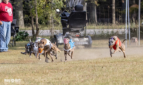 Program 4 Race 11 Brock Tara Dewey Romulus Kinely Cerce-9540