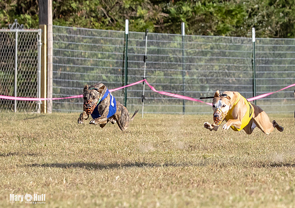 Program 4 Race 10 Remus Bender SweetNlow Grim Wanda-9499