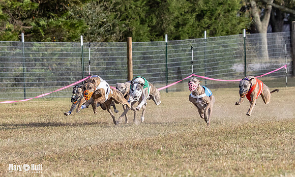 Program 4 Race 11 Brock Tara Dewey Romulus Kinely Cerce-9555