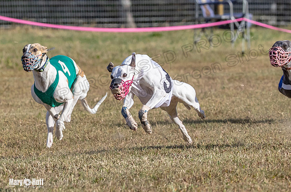 Program 4 Race 6 Pedro Sneakers Mimic Pearl Dancie Sadie-9310