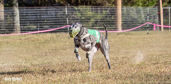 Program 4 Race 10 Remus Bender SweetNlow Grim Wanda-9513