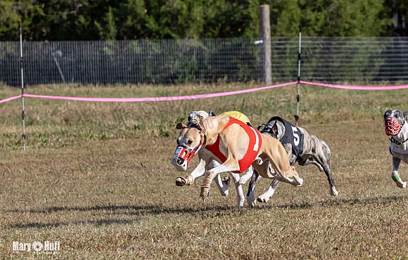 Program 4 Race 2 Raz Elsa Ella Chuck Bexley Bumble-9142