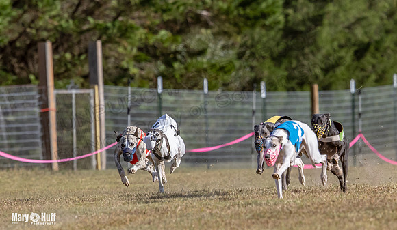 Program 4 Race 5 Soarin Tissy RileyW Rid Trillian Strummer-9250