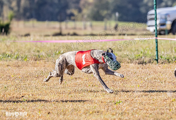 Program 1 Race 4 Lanie Jefe Bentley Zen Trillian-7549