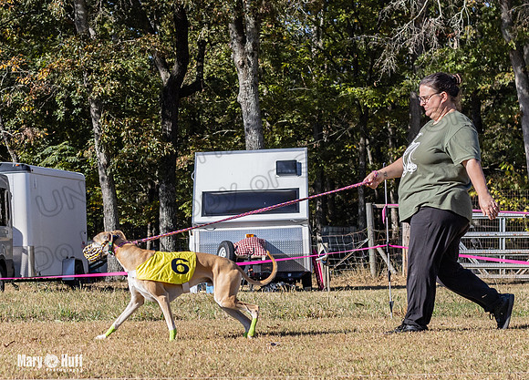 Program 1 Race 12 Tusi Elsa SweetnLow Sneakers Player-7900