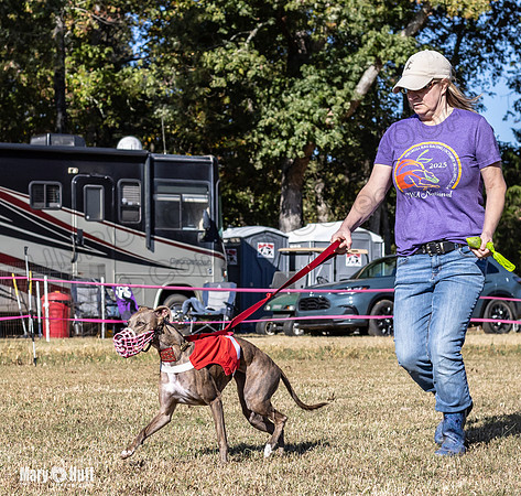 Program 1 Race 14 Tara Conway Eagle Pearl-7991