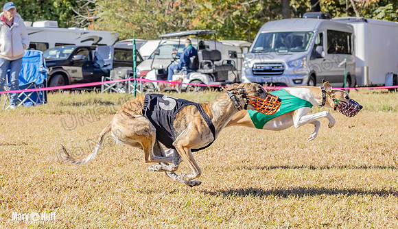 Program 1 Race 13 Sadie Nitro Piper RileyC Jethro-7967