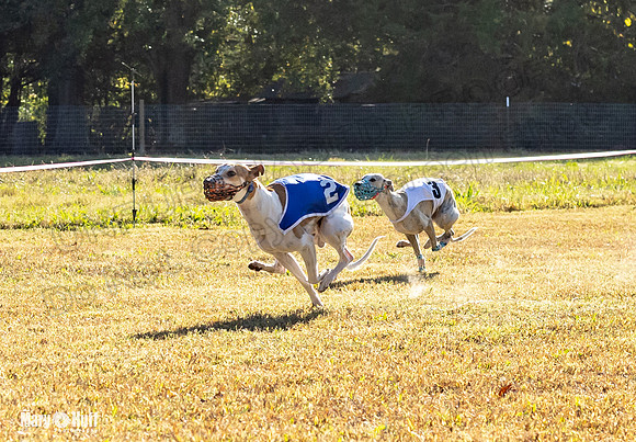 Program 1 Race 9 Dancie Red Kali Raz Clara Swizzle-7754