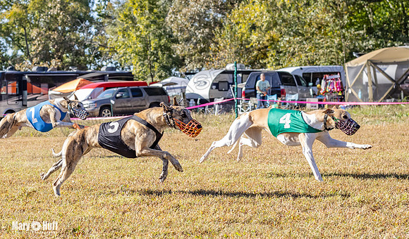 Program 1 Race 13 Sadie Nitro Piper RileyC Jethro-7964