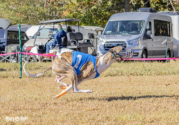 Program 1 Race 13 Sadie Nitro Piper RileyC Jethro-7970