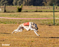 Program 1 Race 3 Bumble Mizuno Strummer Emma Soarin-7510