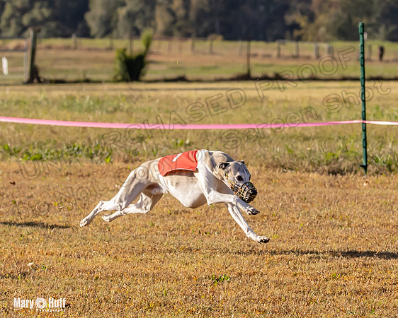 Program 1 Race 3 Bumble Mizuno Strummer Emma Soarin-7510