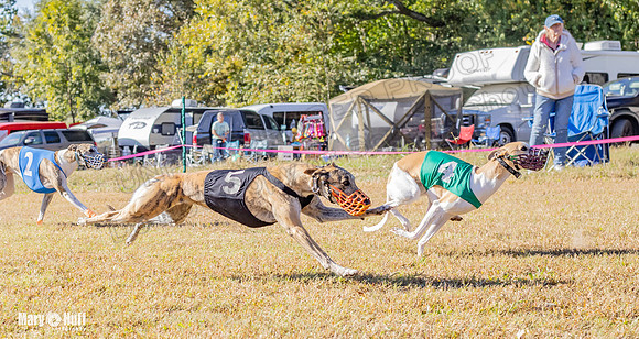 Program 1 Race 13 Sadie Nitro Piper RileyC Jethro-7965