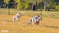 Program 1 Race 3 Bumble Mizuno Strummer Emma Soarin-7505