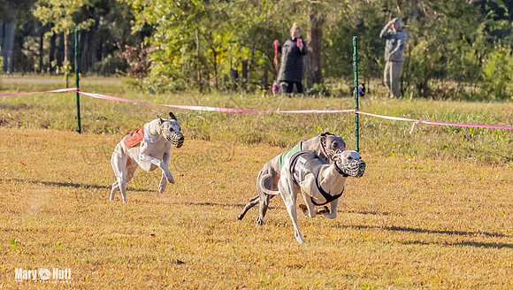Program 1 Race 3 Bumble Mizuno Strummer Emma Soarin-7505