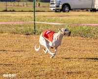 Program 1 Race 3 Bumble Mizuno Strummer Emma Soarin-7511