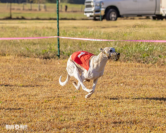 Program 1 Race 3 Bumble Mizuno Strummer Emma Soarin-7511