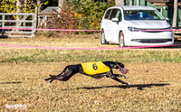 Program 1 Race 2 Hex Marlo Swiss-7493