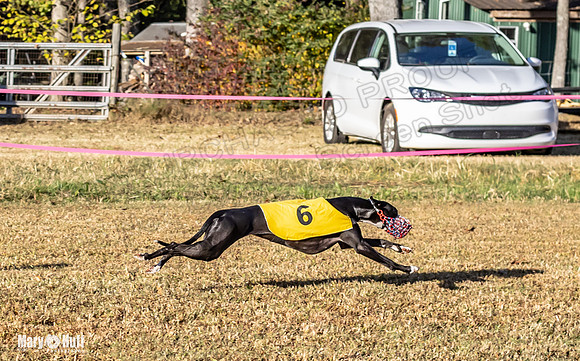 Program 1 Race 2 Hex Marlo Swiss-7493