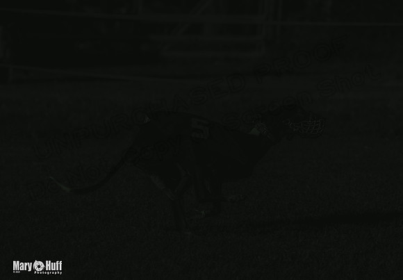 Program 1 Race 4 Lanie Jefe Bentley Zen Trillian-7561-2