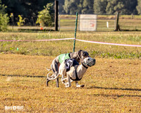 Program 1 Race 3 Bumble Mizuno Strummer Emma Soarin-7507