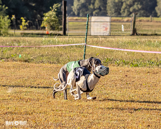 Program 1 Race 3 Bumble Mizuno Strummer Emma Soarin-7507