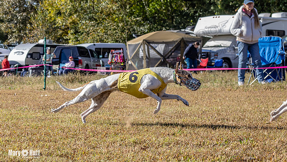Program 1 Race 14 Tara Conway Eagle Pearl-8009