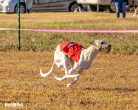 Program 1 Race 3 Bumble Mizuno Strummer Emma Soarin-7513