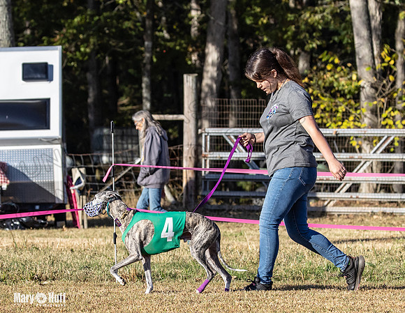 Program 1 Race 4 Lanie Jefe Bentley Zen Trillian-7529