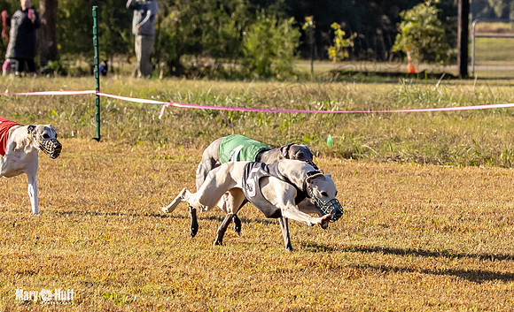 Program 1 Race 3 Bumble Mizuno Strummer Emma Soarin-7506