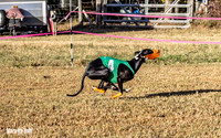 Program 1 Race 2 Hex Marlo Swiss-7494
