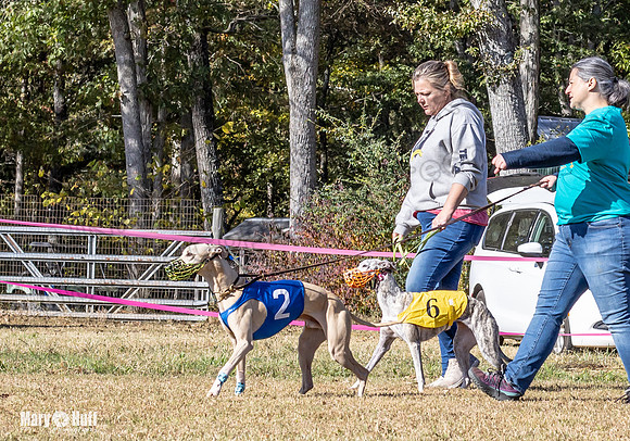 Program 1 Race 16 Romulus Maverick Grim Finely Margie-8107