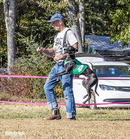 Program 1 Race 16 Romulus Maverick Grim Finely Margie-8088