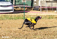Program 1 Race 2 Hex Marlo Swiss-7495