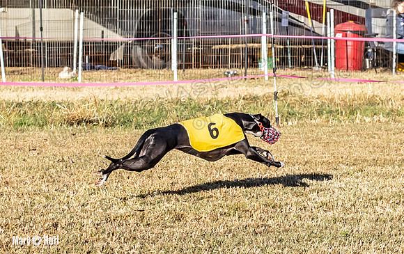 Program 1 Race 2 Hex Marlo Swiss-7497