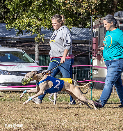 Program 1 Race 16 Romulus Maverick Grim Finely Margie-8101