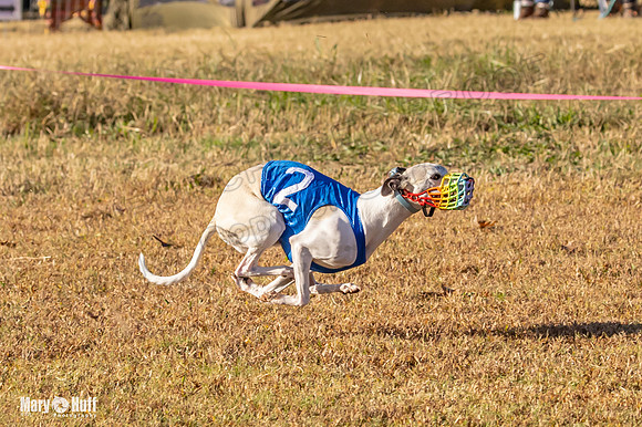 Program 1 Race 3 Bumble Mizuno Strummer Emma Soarin-7519